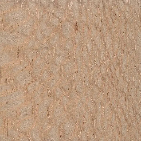 Lacewood Bowl Blanks (Round) - Bowl Blanks