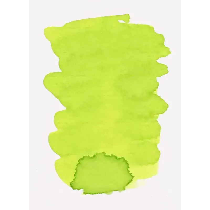 Woodpecker Green Fountain Pen Ink - Fountain Pen Ink