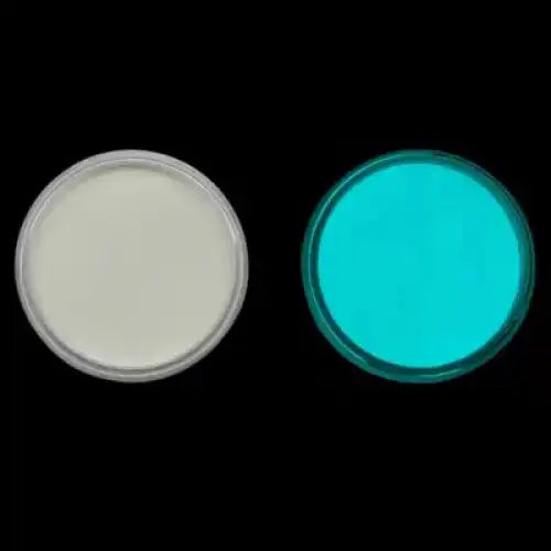 Nebula Glow in the dark Powder BLU-GRN-NEB-GLO-10g - 10g - Inlays