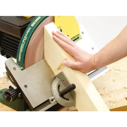 Record Power DS300 12’’ Cast Iron Disc Sander RP-DS300-SAND - sander