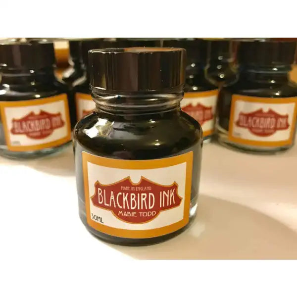Robin Red Fountain Pen Ink - Blackbird Ink 5060592530021 - Fountain Pen Ink